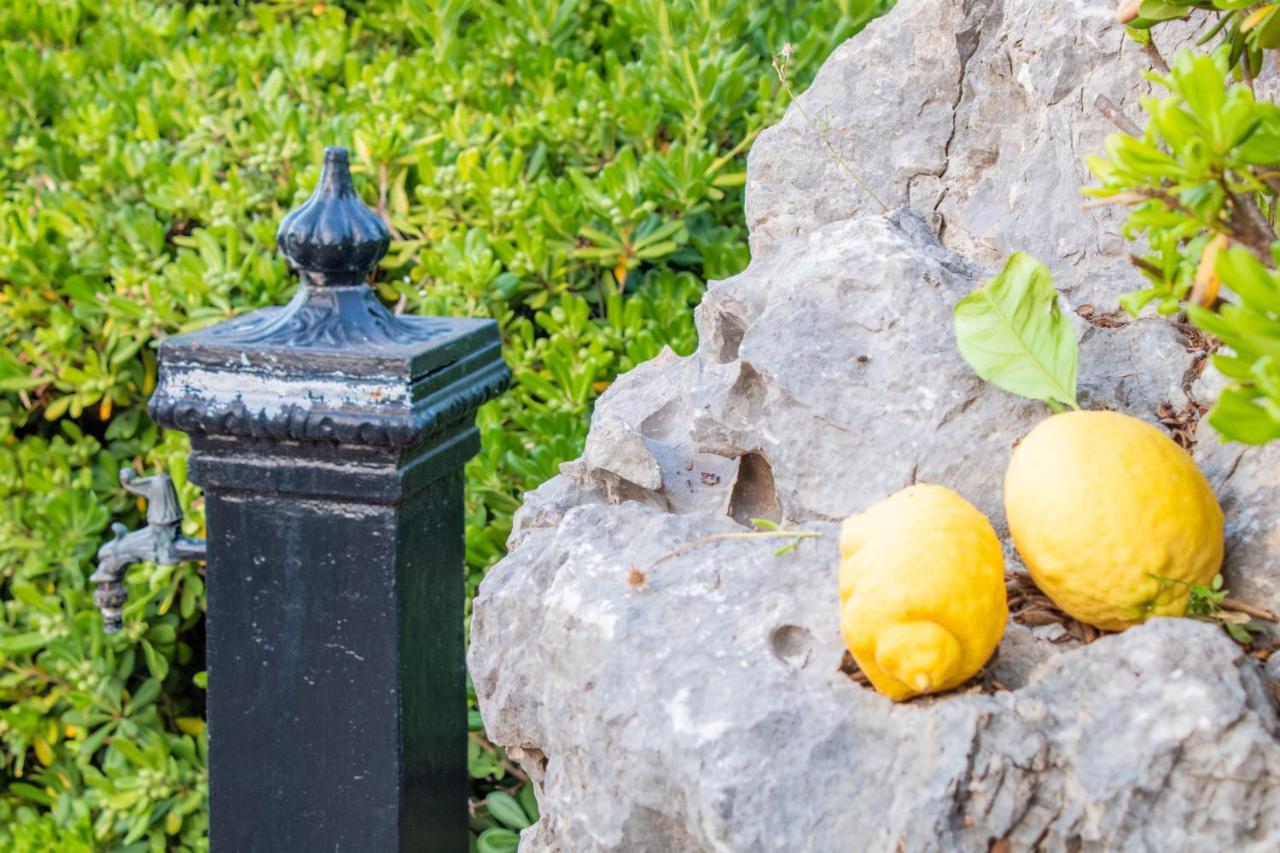 Willa Villino Agave San Vito Lo Capo Zewnętrze zdjęcie