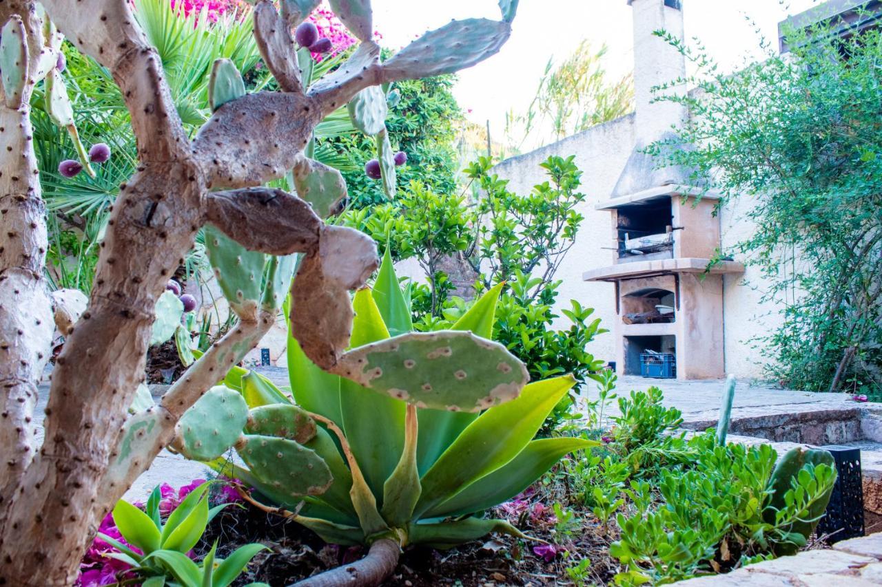 Willa Villino Agave San Vito Lo Capo Zewnętrze zdjęcie